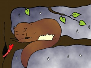 Der Regenwurm besucht den Siebenschläfer im Baum.